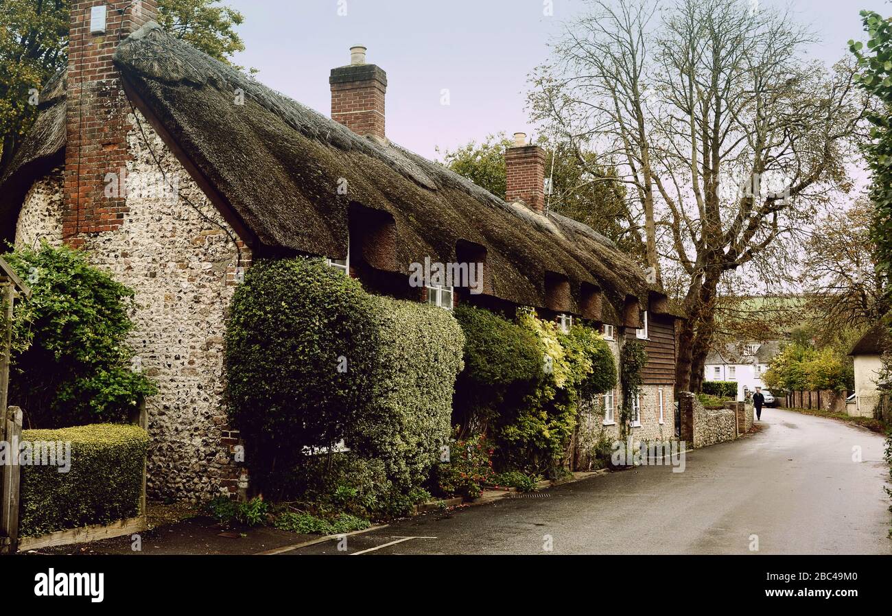 Beautiful old detached house thatched country cottage in the village of Ashmore, Dorset, England, UK in summer Stock Photo