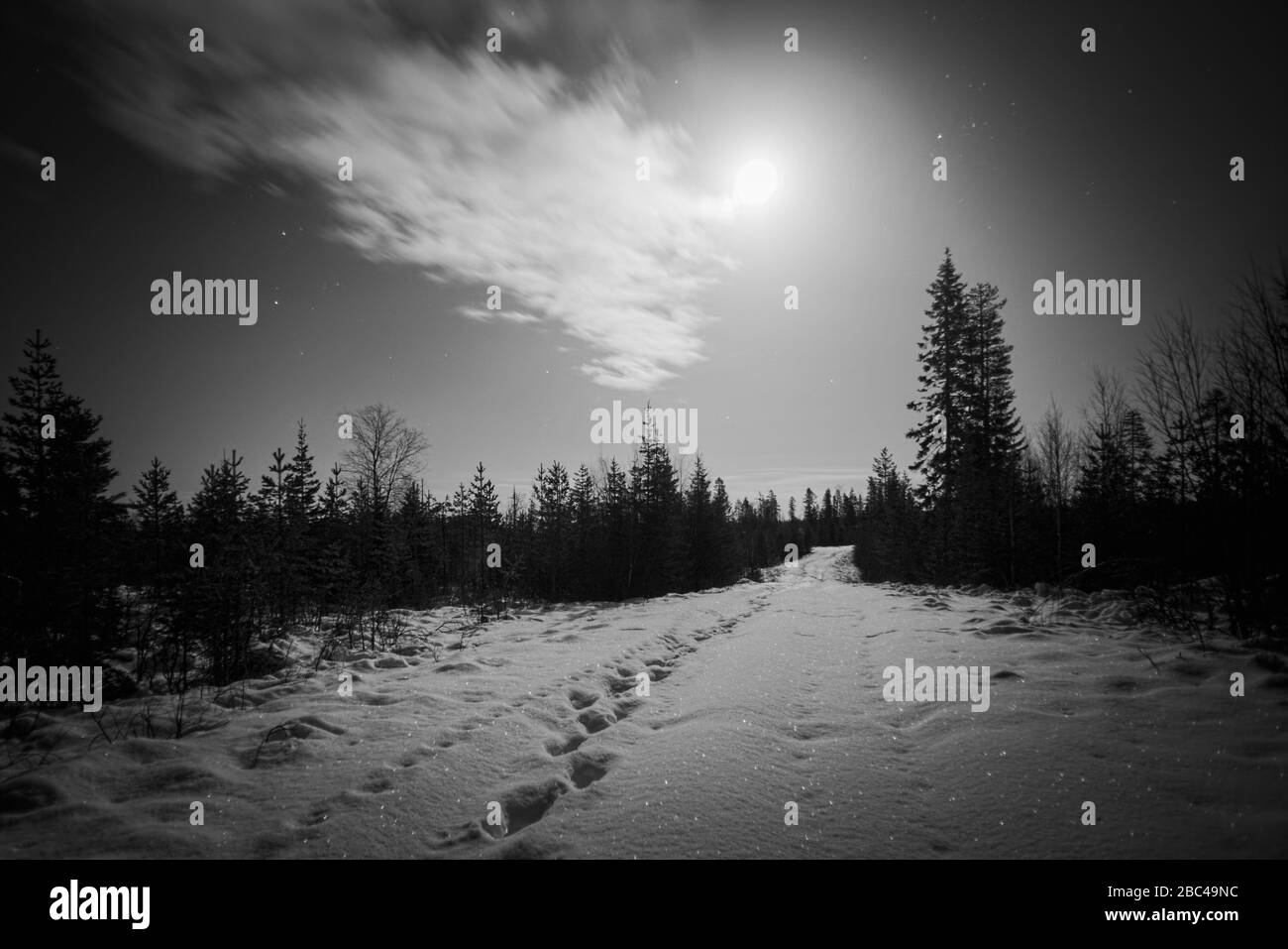 Black and white image of Swedish night with bright moon. Stock Photo