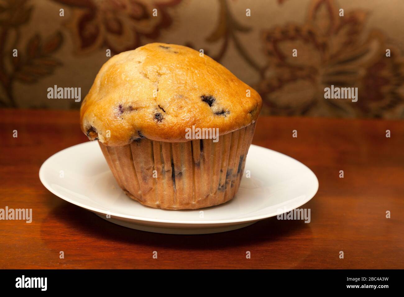 Blueberry Muffin by James D Coppinger/Dembinsky Photo Assoc Stock Photo