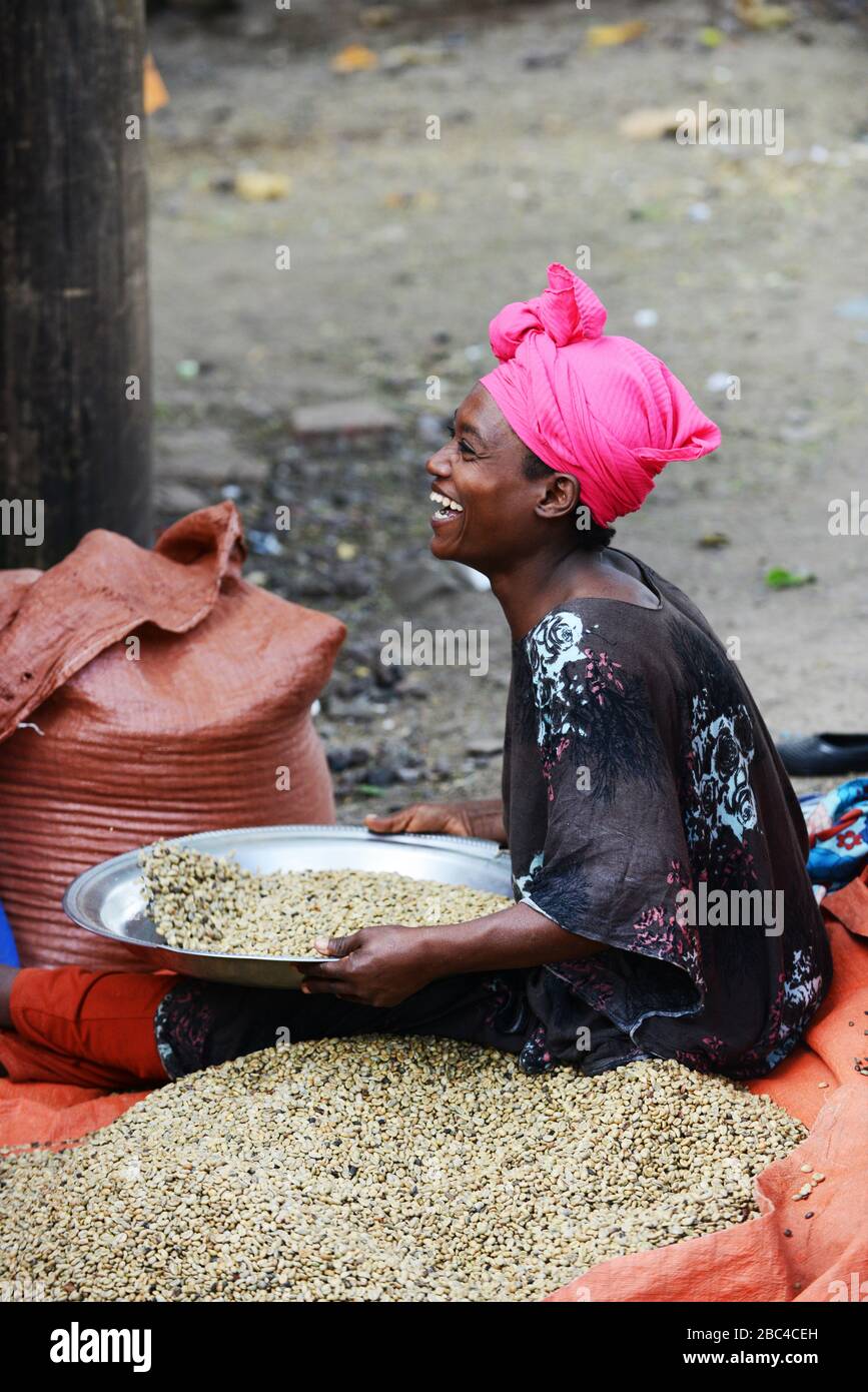 An Ethiopian woman sorting coffee beans in t he Oromia region of Ethiopia. Stock Photo