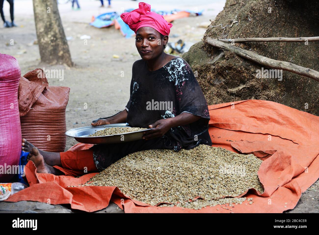An Ethiopian woman sorting coffee beans in t he Oromia region of Ethiopia. Stock Photo