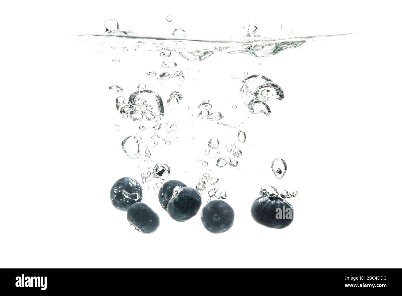 A few blueberry bog whortleberry, great bilberry falling in water on a white background Stock Photo