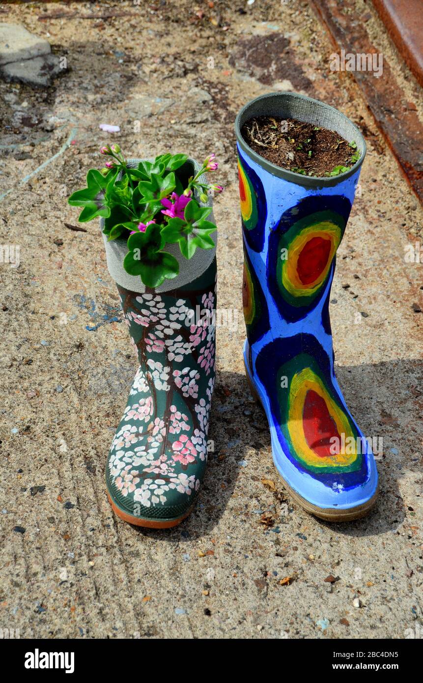 Variety of colours of welly boot planters with vaying types of flowers Stock Photo
