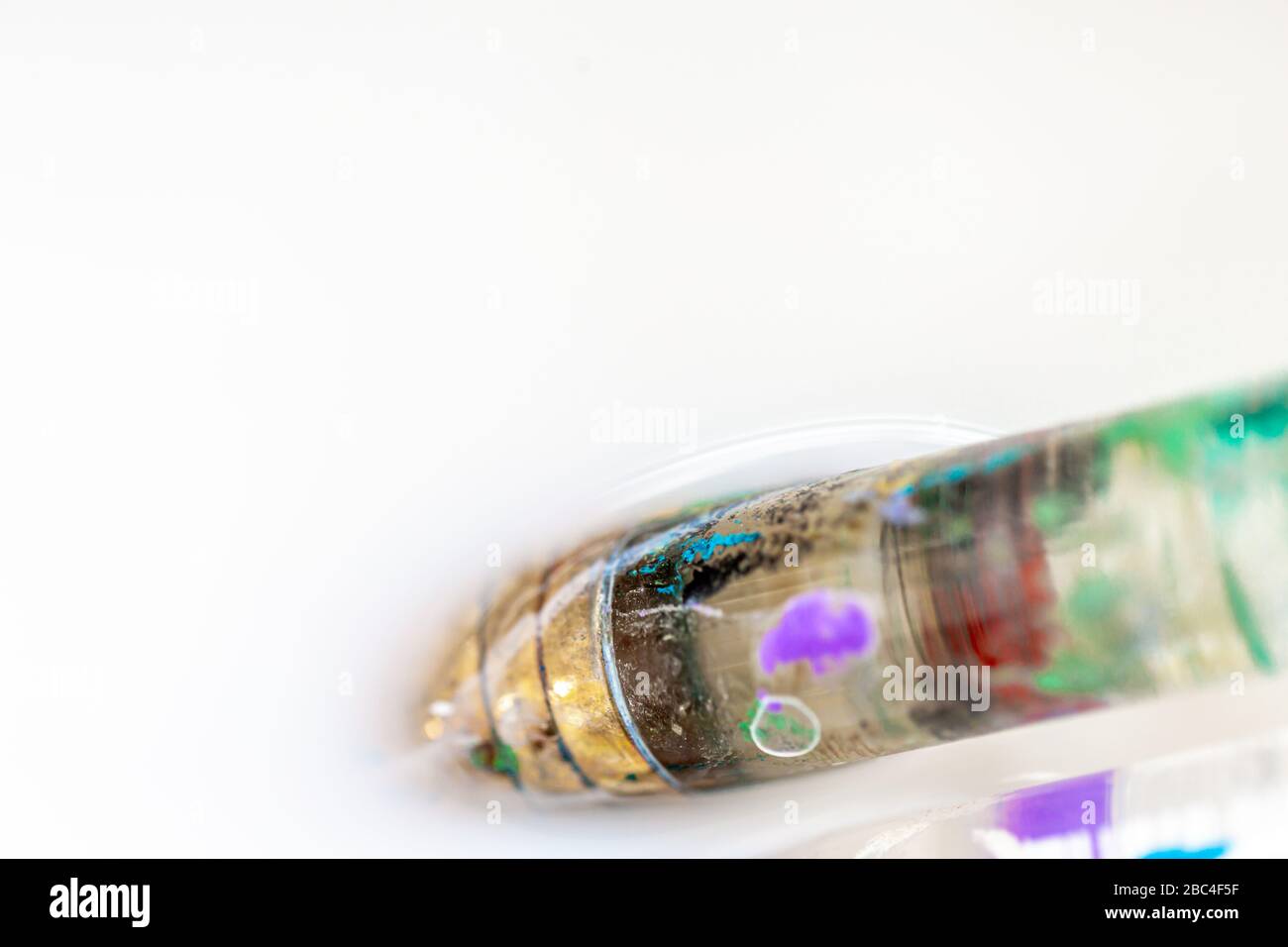 Two artist's paint brushes in white water Stock Photo Alamy