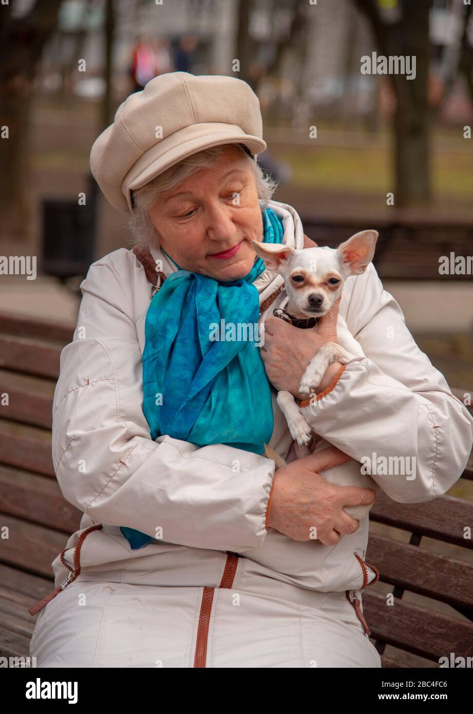 An elderly elegant woman with a small dog is sitting on a Park bench ...