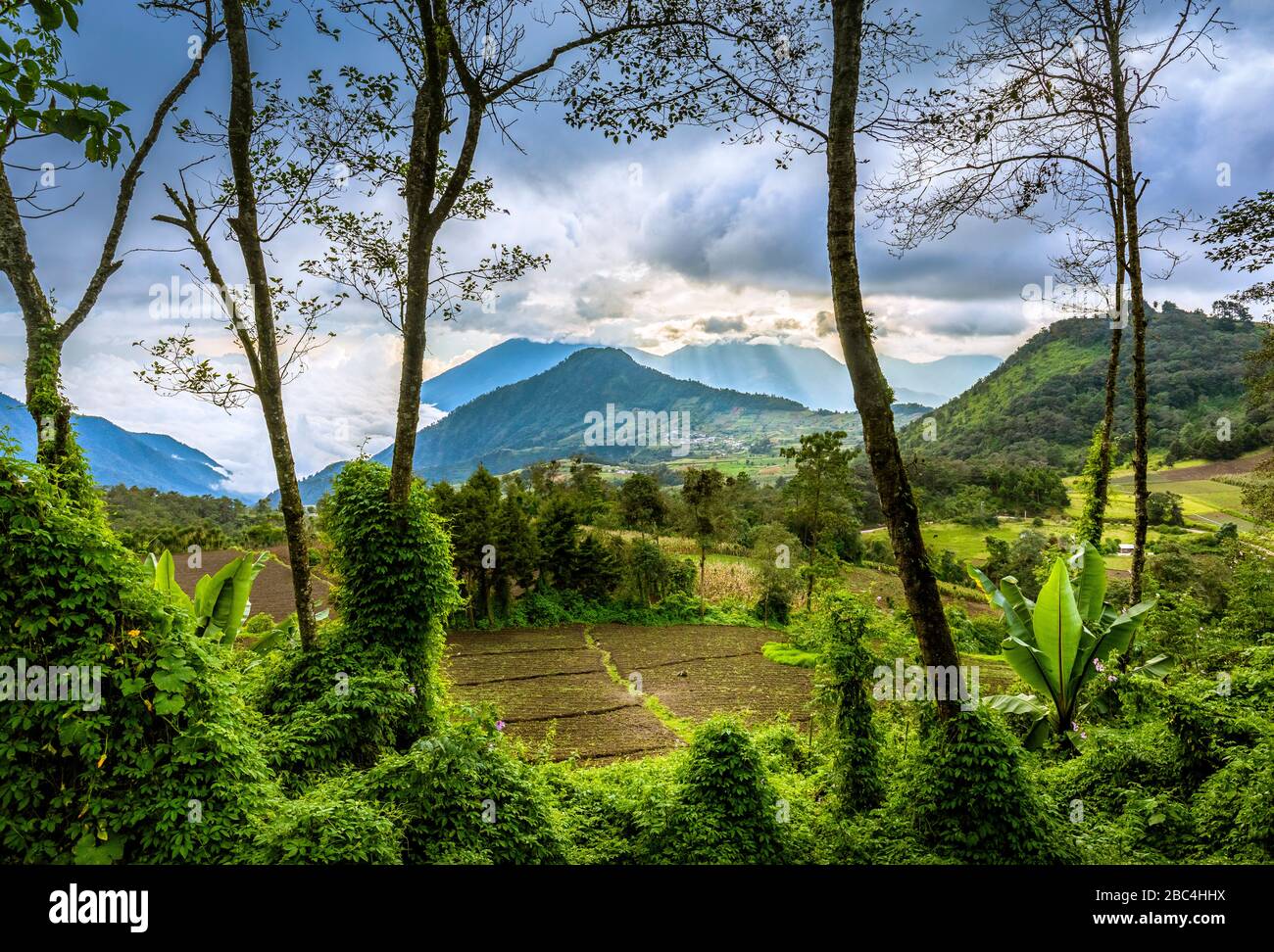 Late afternoon in the highlands of Guatemala above Lake Atitlan. Stock Photo