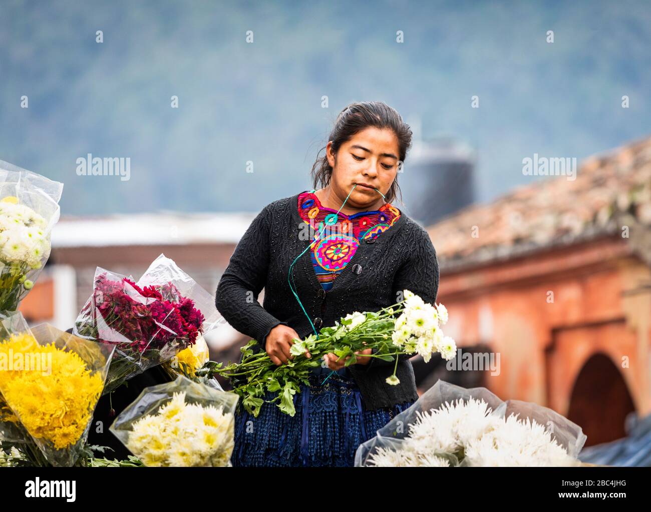 Young woman sets up shop in the outdoor flower market in Chichicastenango, Guatemala. Stock Photo