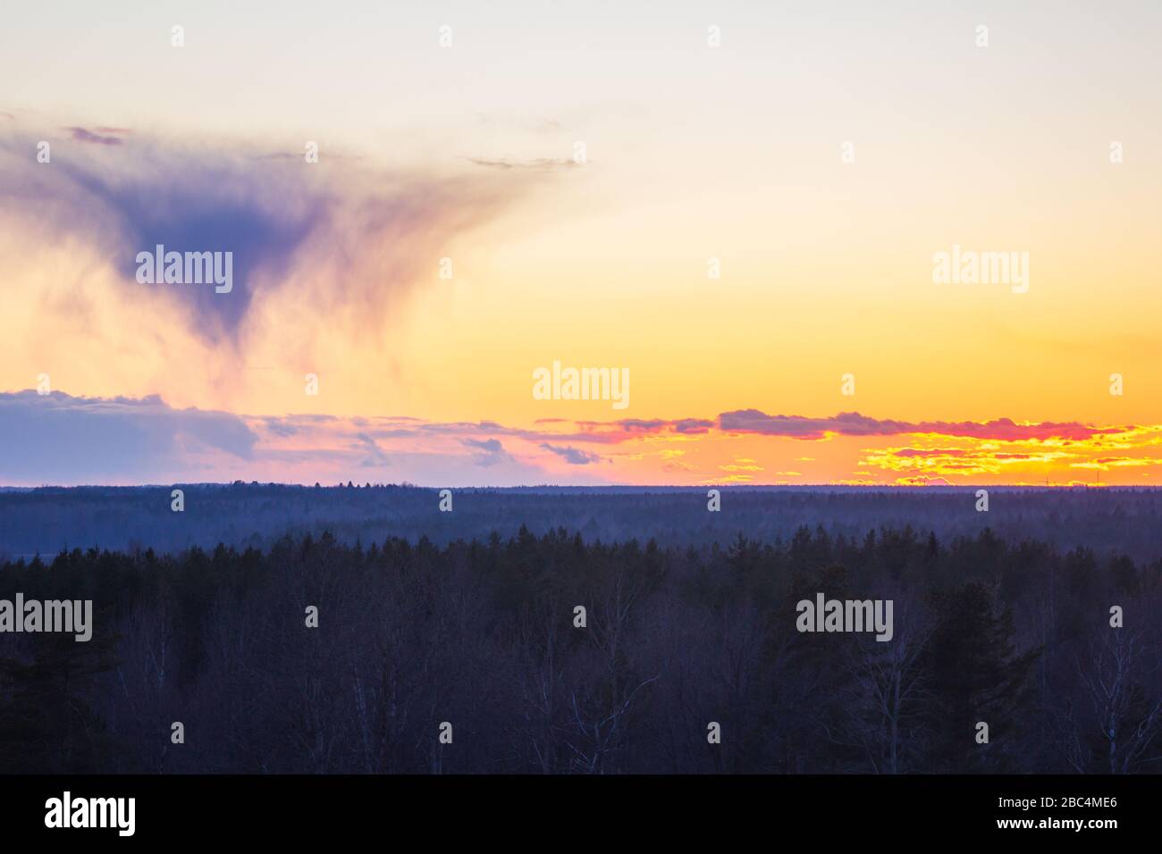 landscape sunset clouds over the foggy forest Stock Photo - Alamy