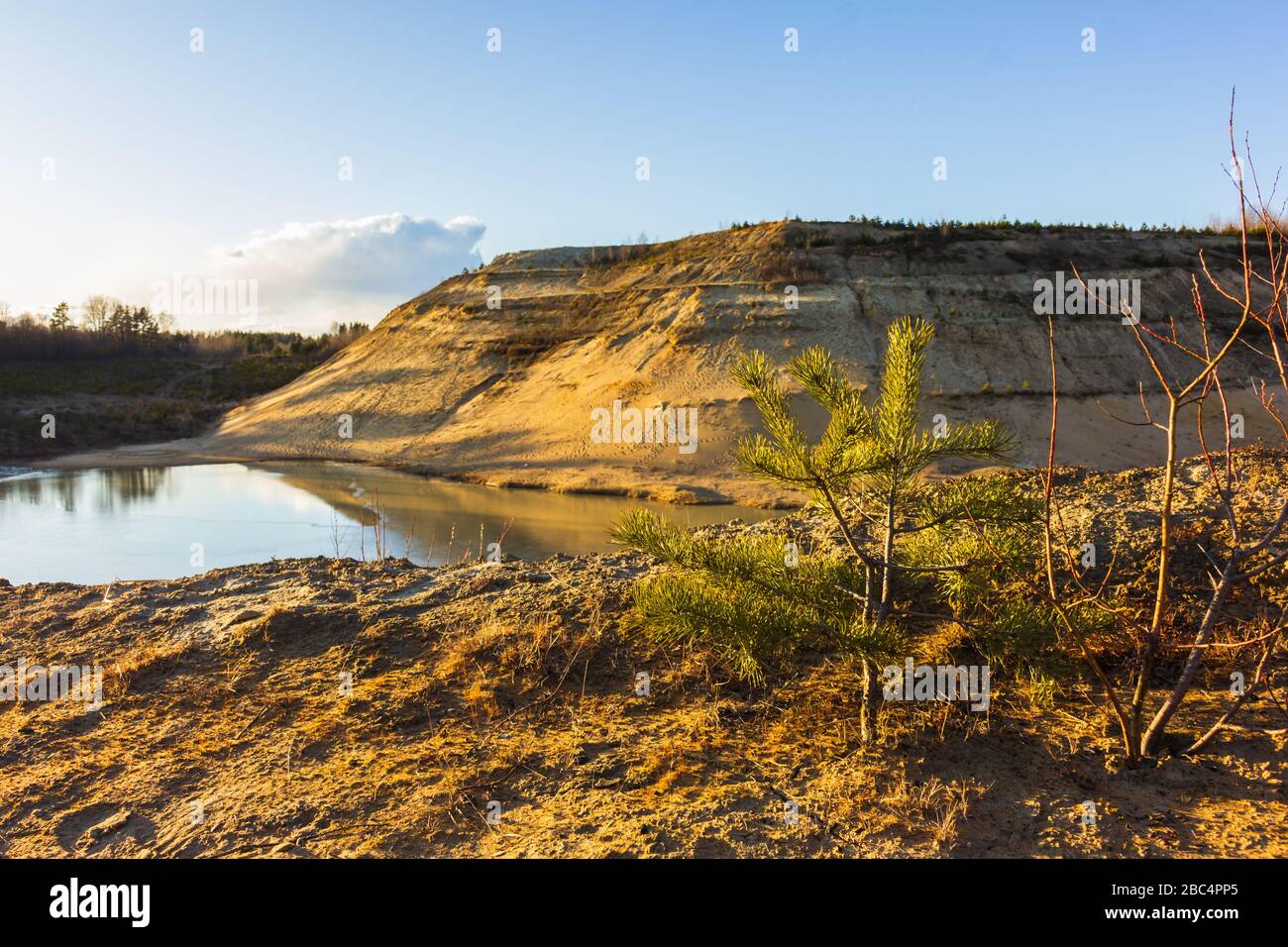 Plants of clear lake hi-res stock photography and images - Alamy