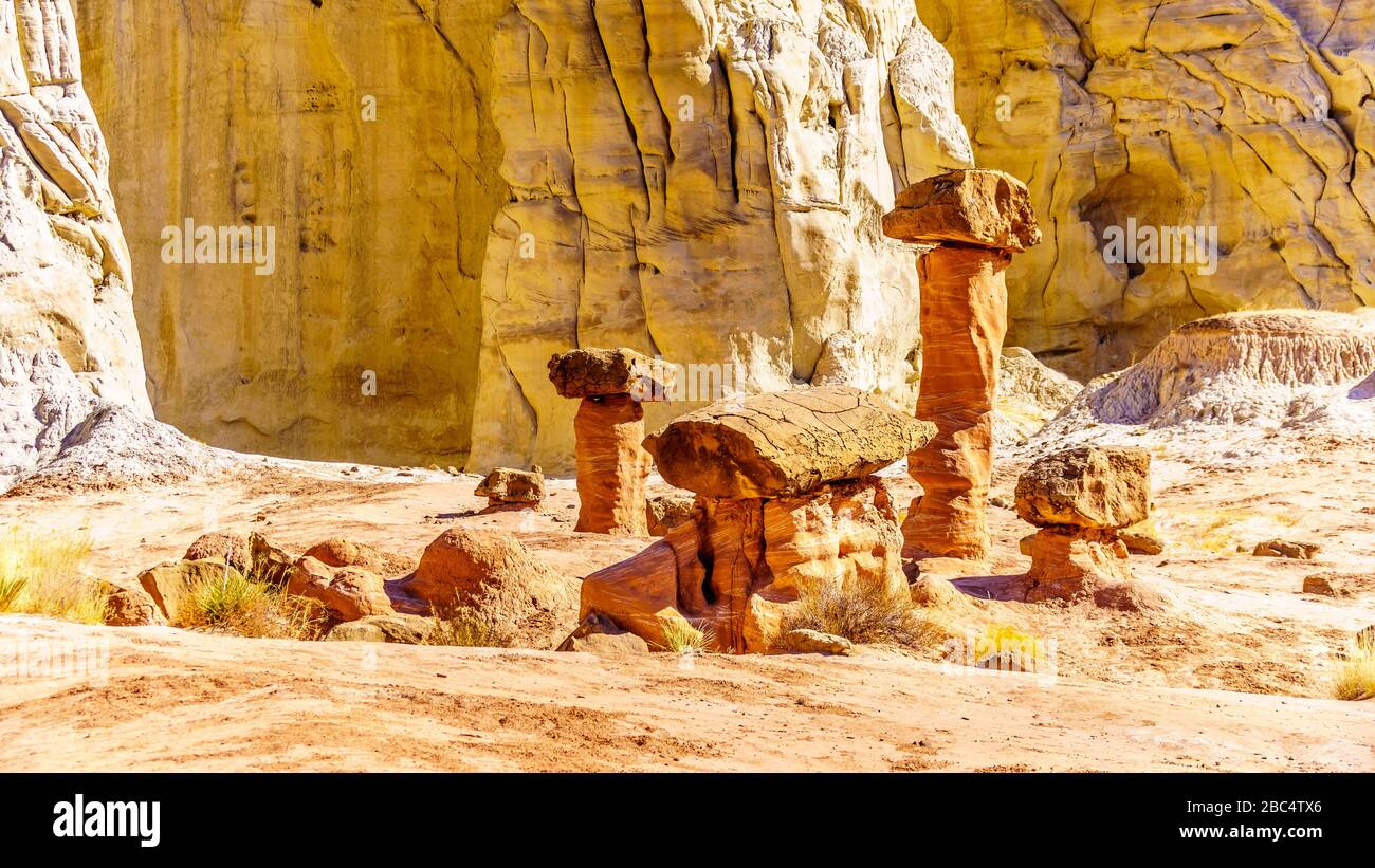 Toadstool Hoodoos against the background of the colorful sandstone mountains on the Toadstool Hiking Trail in Grand Staircase-Escalante Monument USA Stock Photo