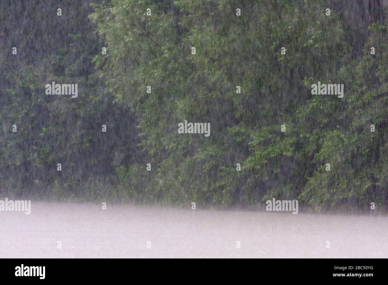 Heavy downpour on the Drava River Stock Photo