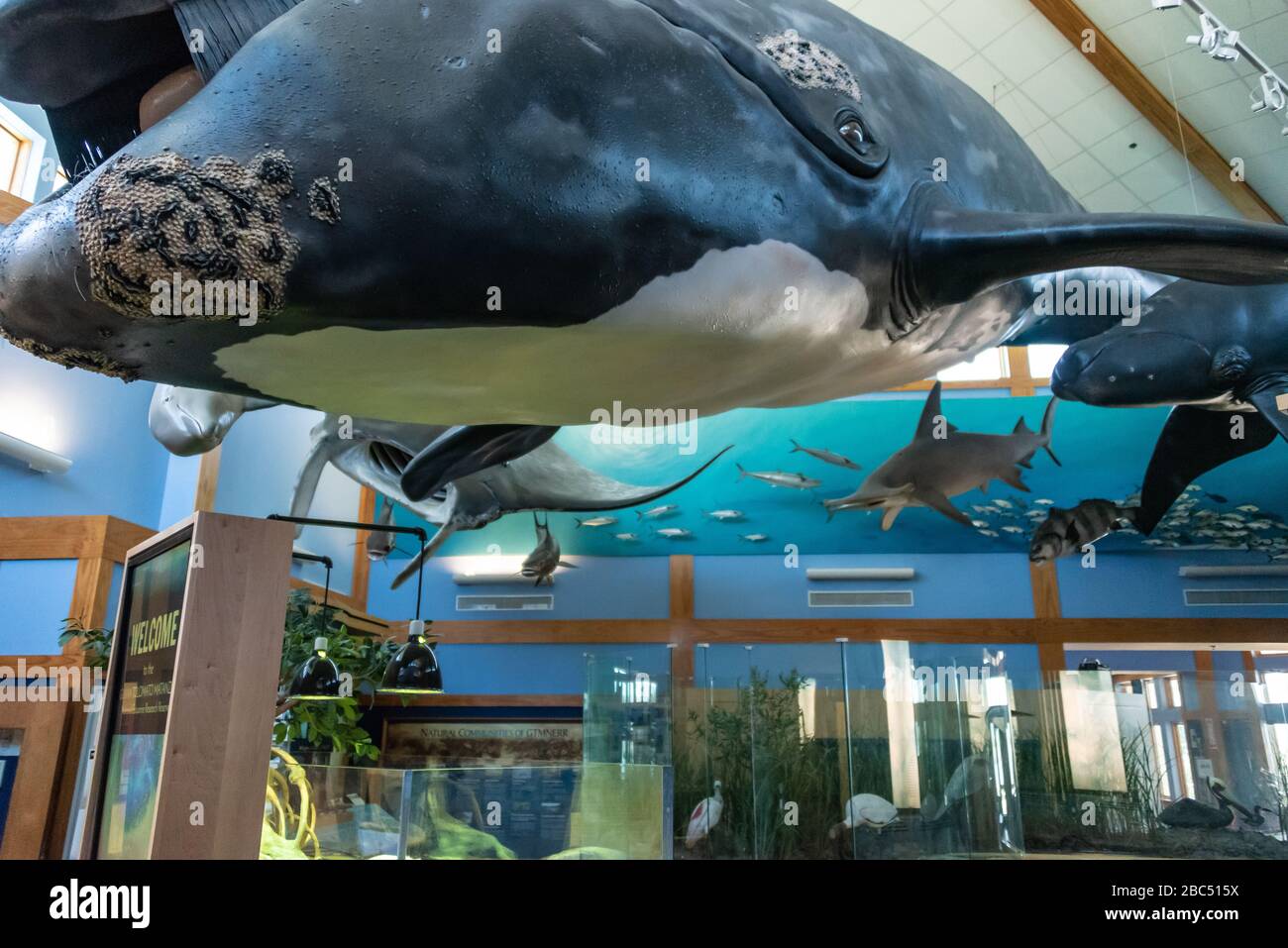 GTM Research Reserve Visitor Center in Ponte Vedra Beach, Florida. (USA) Stock Photo