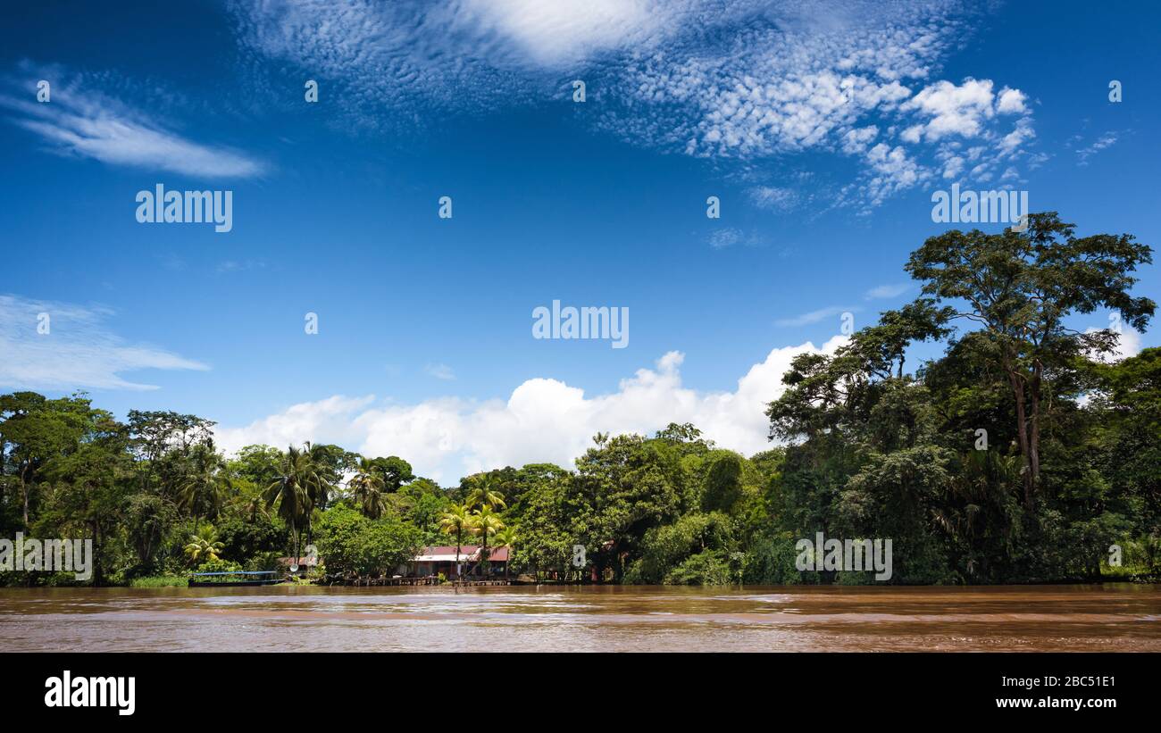 View of a tropical river and lush rainforest. Central America nature ...