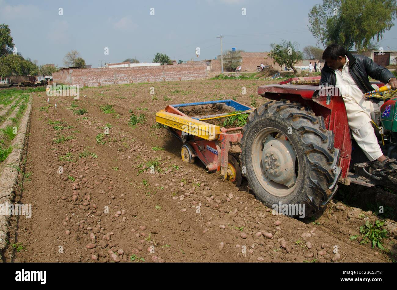 Potato harvesting machine hires stock photography and images Alamy