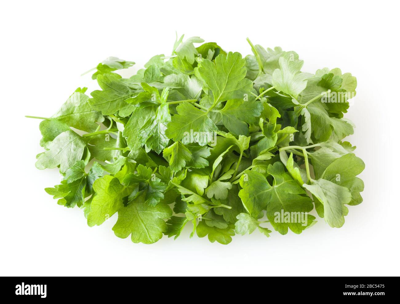 Fresh parsley leaves isolated on white background Stock Photo - Alamy