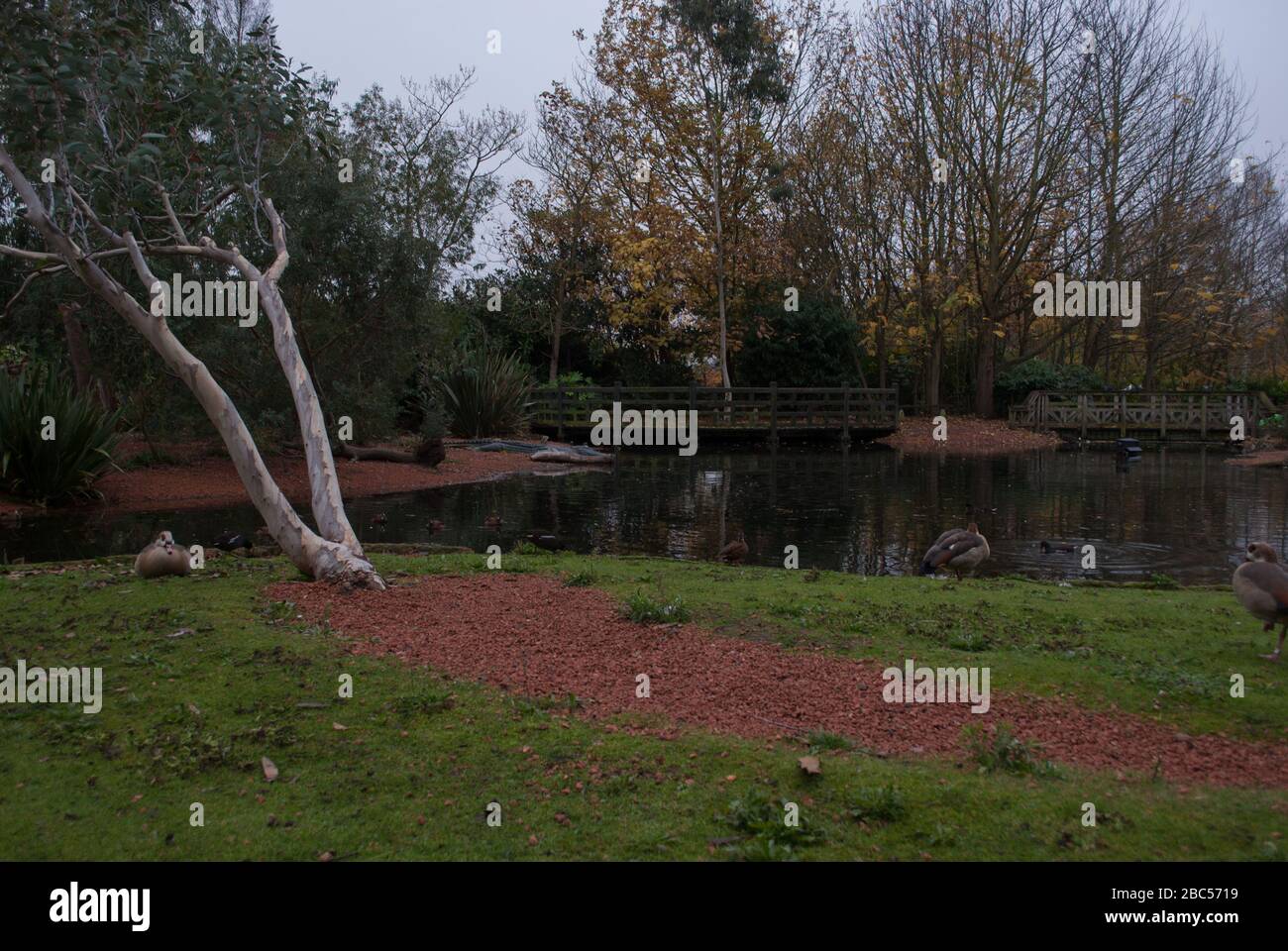 Barnes Pond Hi-res Stock Photography And Images - Alamy