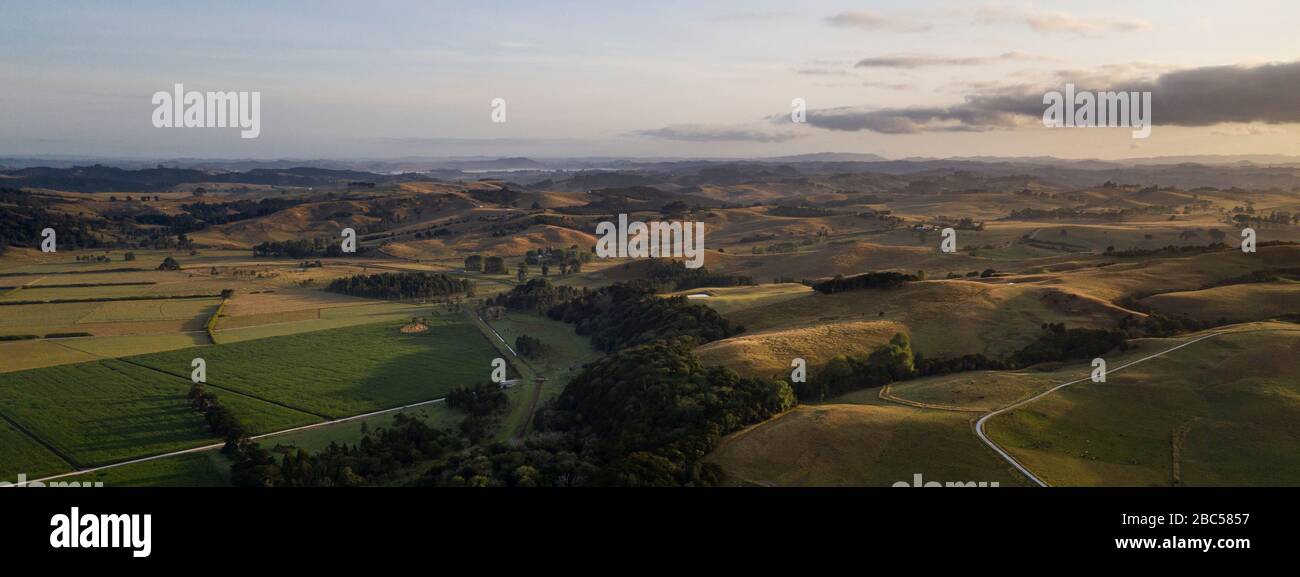 Panoramic aerial view on farmland early in the morning at Ruawai area in Northland, New Zealand. The landscape shows an extension of land full of hill Stock Photo