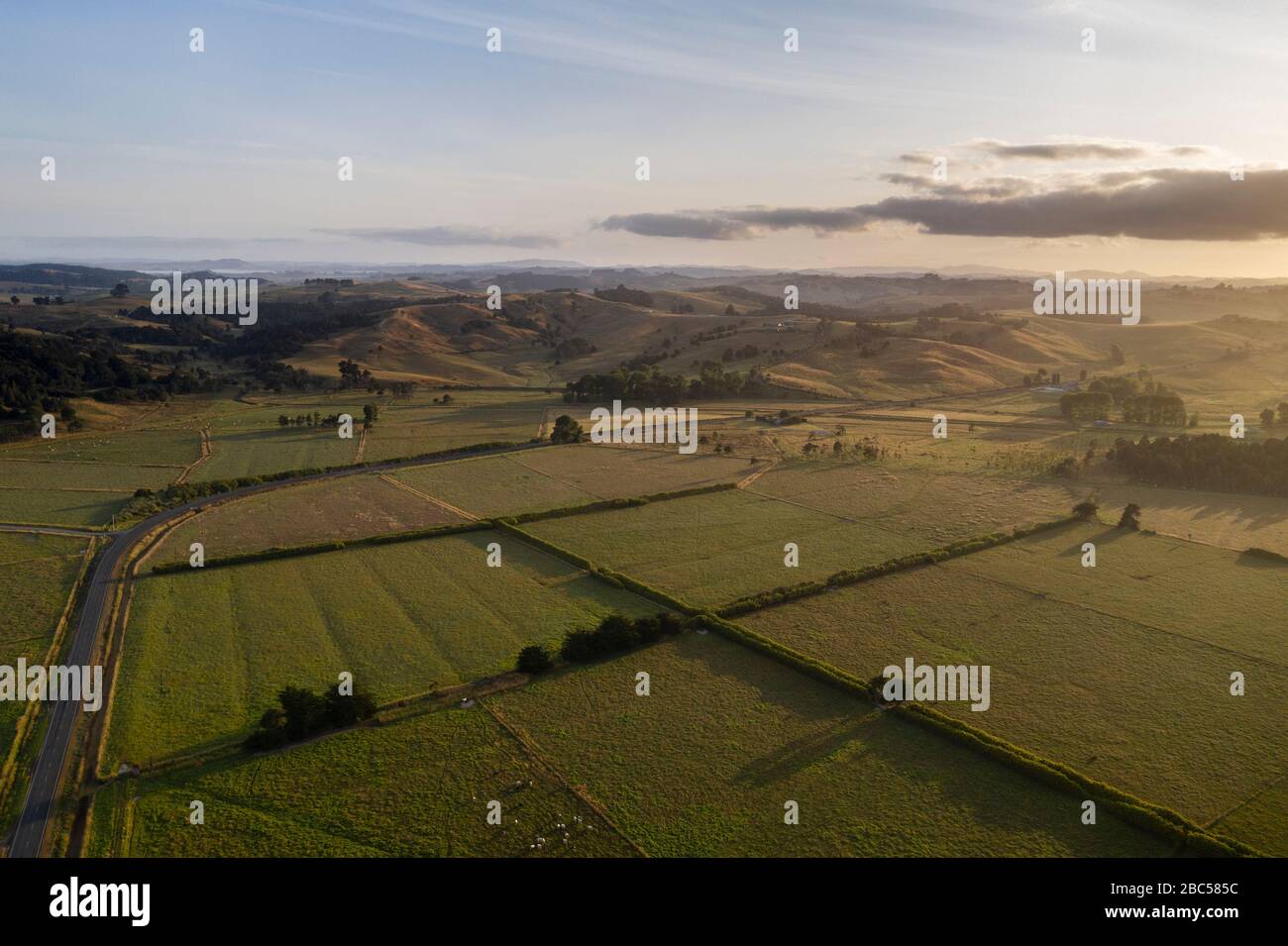 Aerial view on farmland on Ruawai area in Northland, New Zealand. A road surrounds some fields with cattle and bush separations at sunrise. Low hills Stock Photo
