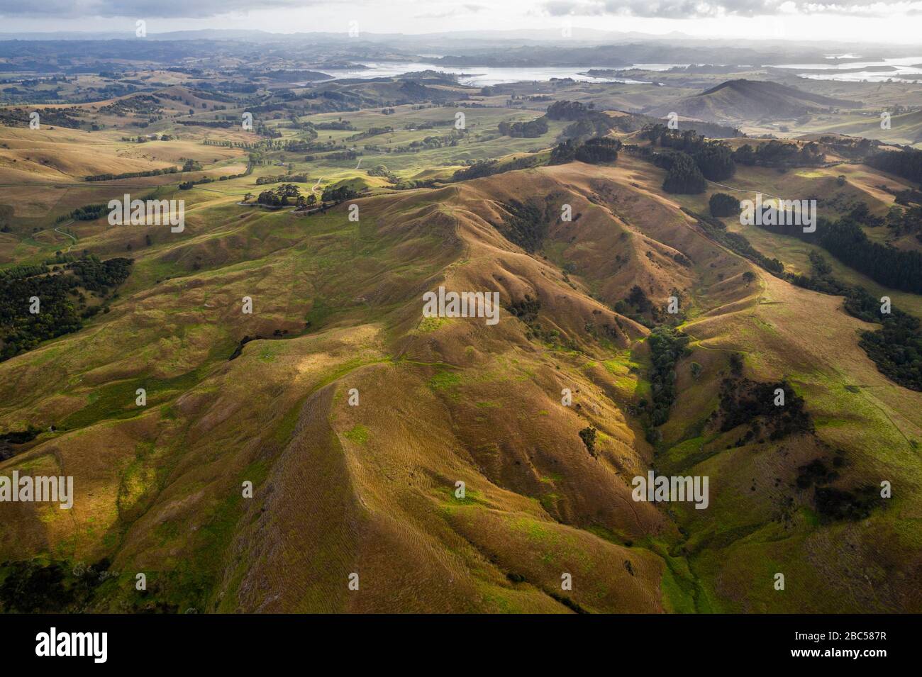 Aerial view on farmland early in the morning at Ruawai area in Northland, New Zealand. The landscape shows an extension of land full of hills till the Stock Photo