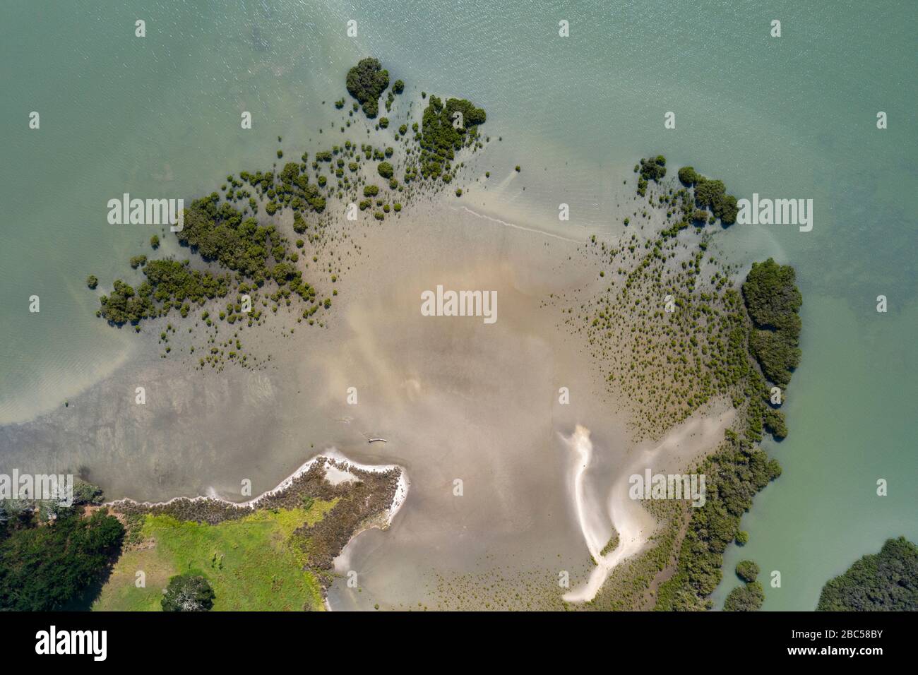 Top view of a piece of beach that runs into the water in Northland, New Zealand. The turquoise water is at the same time so clear that the sand and pa Stock Photo