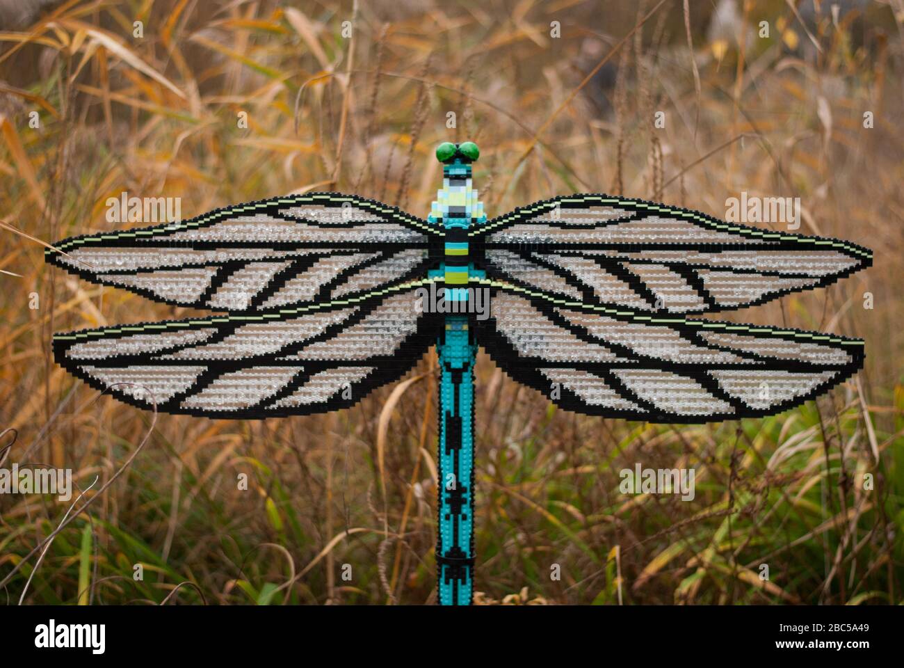 Page 2 - Lego Animals High Resolution Stock Photography and ...