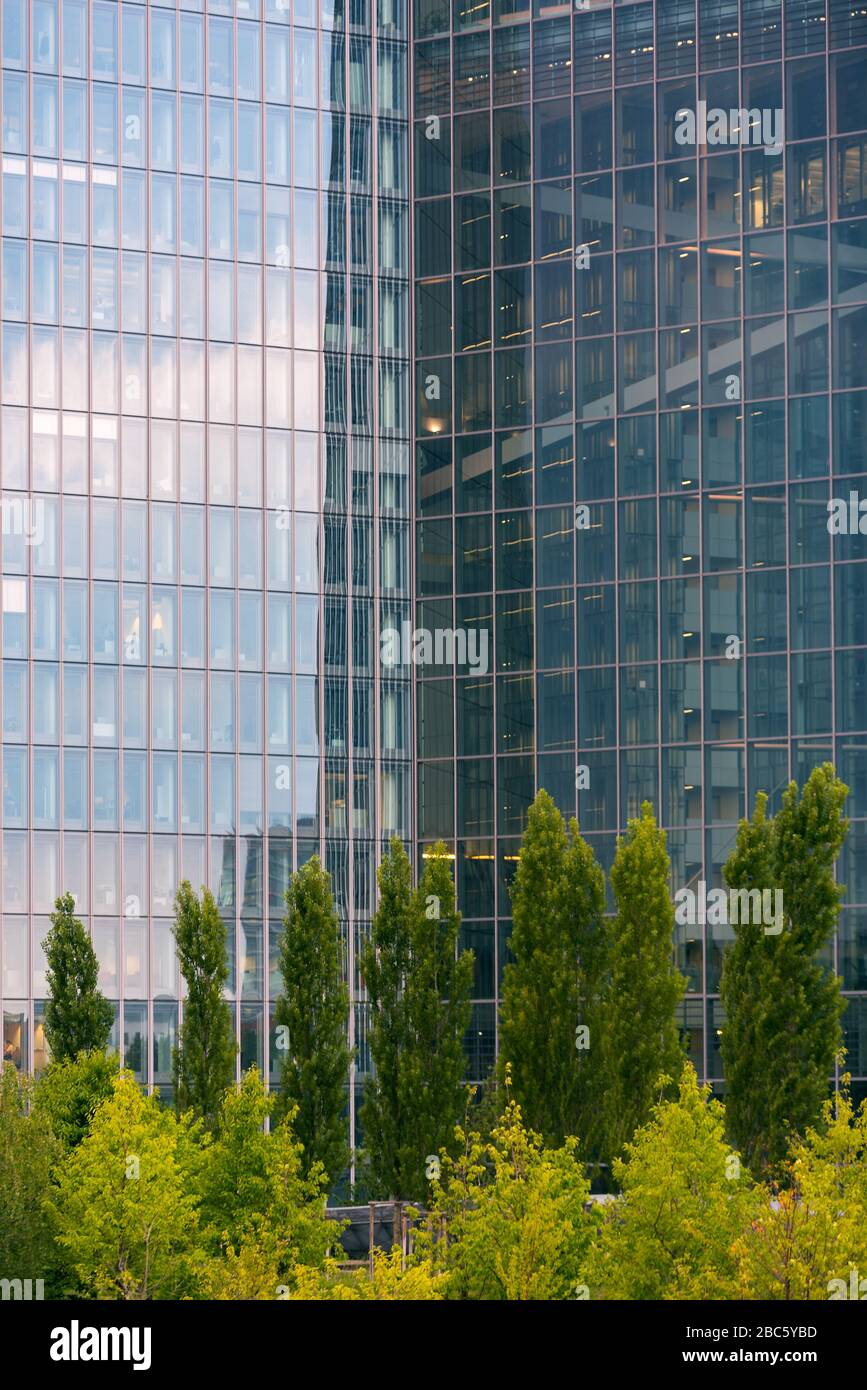 trees are reflected in the glass facade of the European Central Bank, Frankfurt, Germany Stock Photo