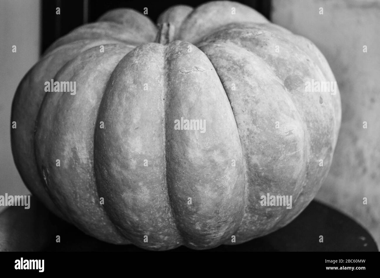 fresh pumpkin close up view Stock Photo