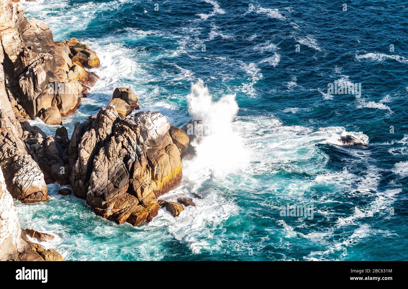 South Africa, West Cape, Table Mountain National Park, Cape of Good Hope Stock Photo