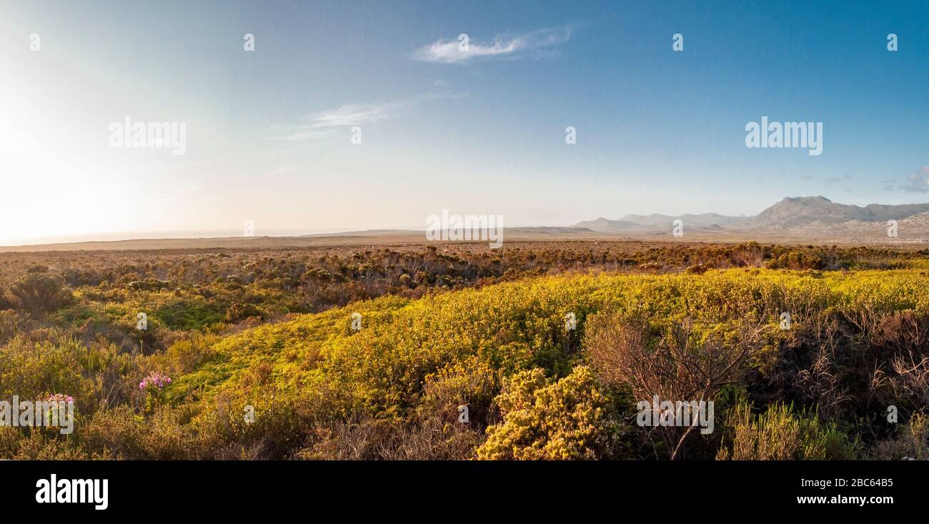 South Africa, West Cape, Table Mountain National Park, The Cape of Good Hope Stock Photo