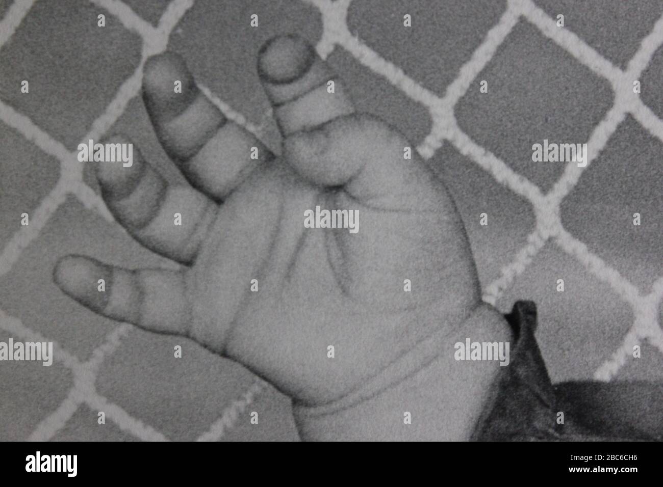 A baby hand in front of a mesh guard. Stock Photo