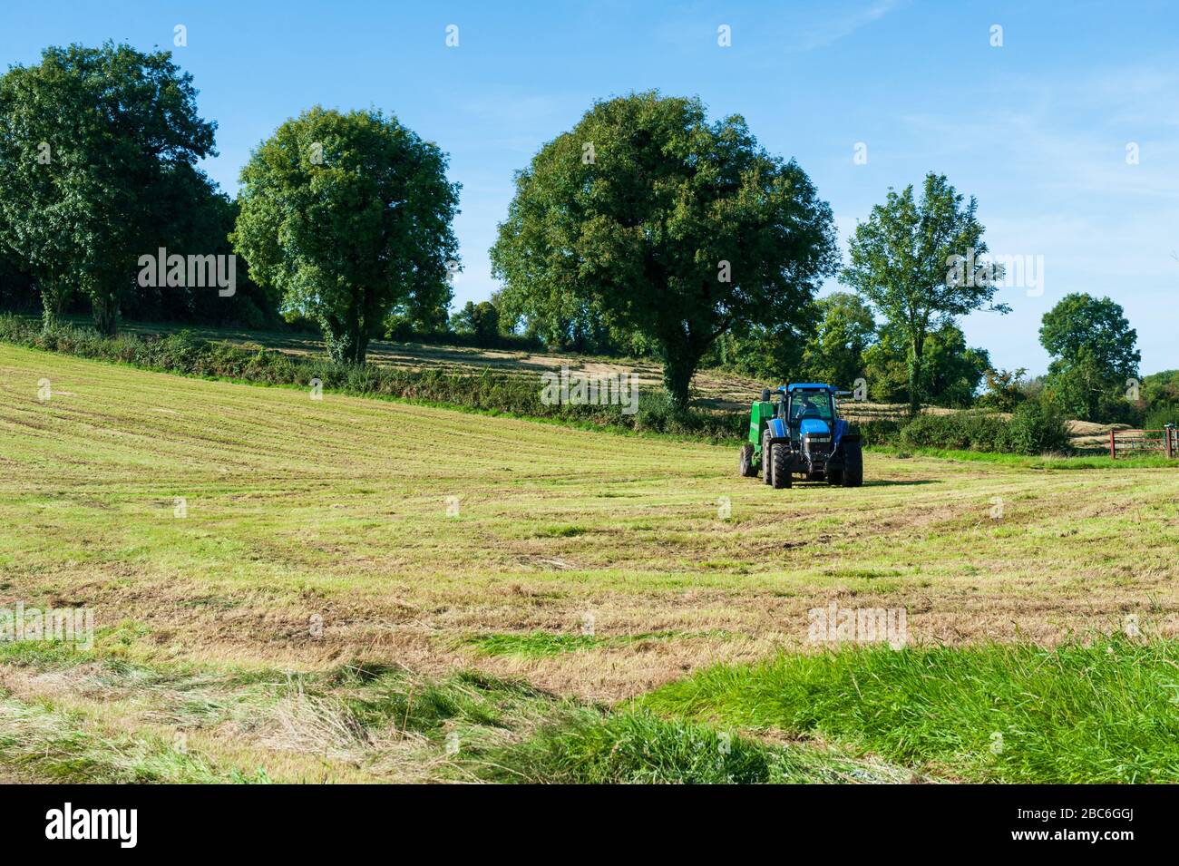 Tractor and Harvesting machine working in a green field Stock Photo