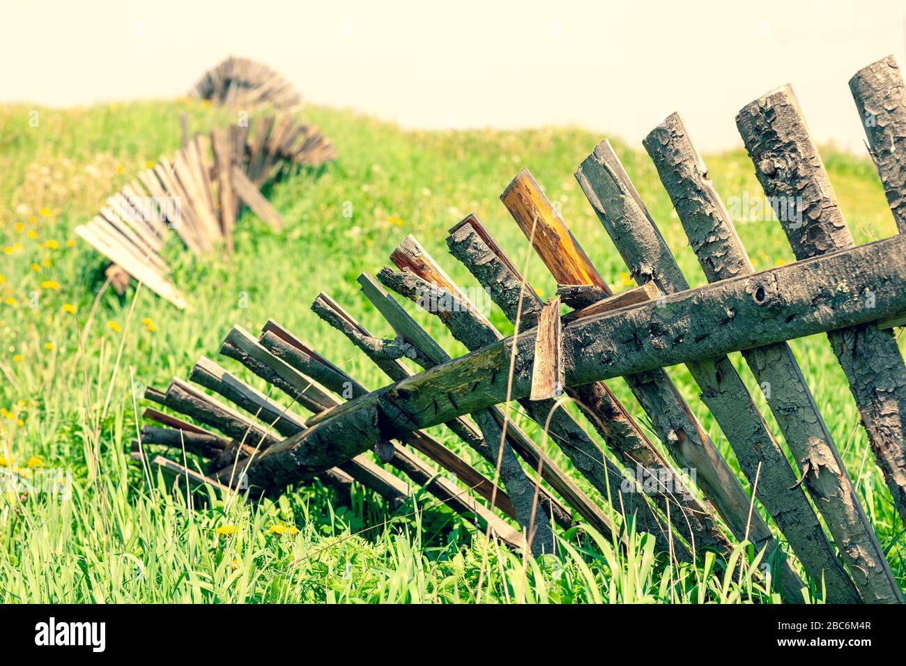 Wooden old fence in the summer field Stock Photo - Alamy