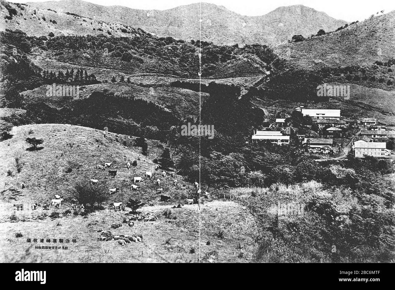 English Kouzu Dairy Farm 日本語 戦前の神津牧場 Before 1940 Date Qs P 1940 00 00t00 00 00z 7 P1326 1940 00 00t00 00 00z 9 明治製糖編 伸び行く明治 明治製糖 1940年より インターネット公開 保護期間満了 This Image Is Available From The