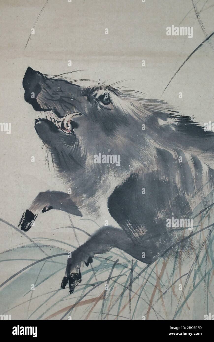 日本語 狙仙筆 猪図 English Drawing Of Wild Boar Early 19th Century Http Fujiantique Jp 17 01 30 E6 A3 Ae E7 8b 99 E4 99 E7 Ad 86 E7 8c E5 9b Mori Sosen 1747 11 Alternative Names Reibyōan Jokansai Shukuga Reimeian