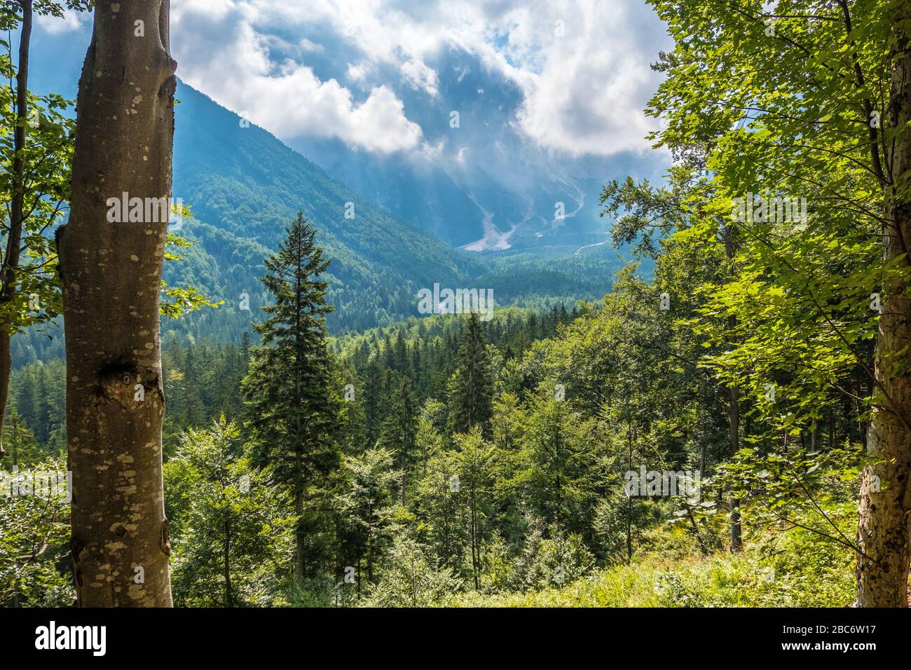 Scenic view of Alpine landscape in Triglav National Park. Julian alps, Triglav, Slovenia Stock Photo