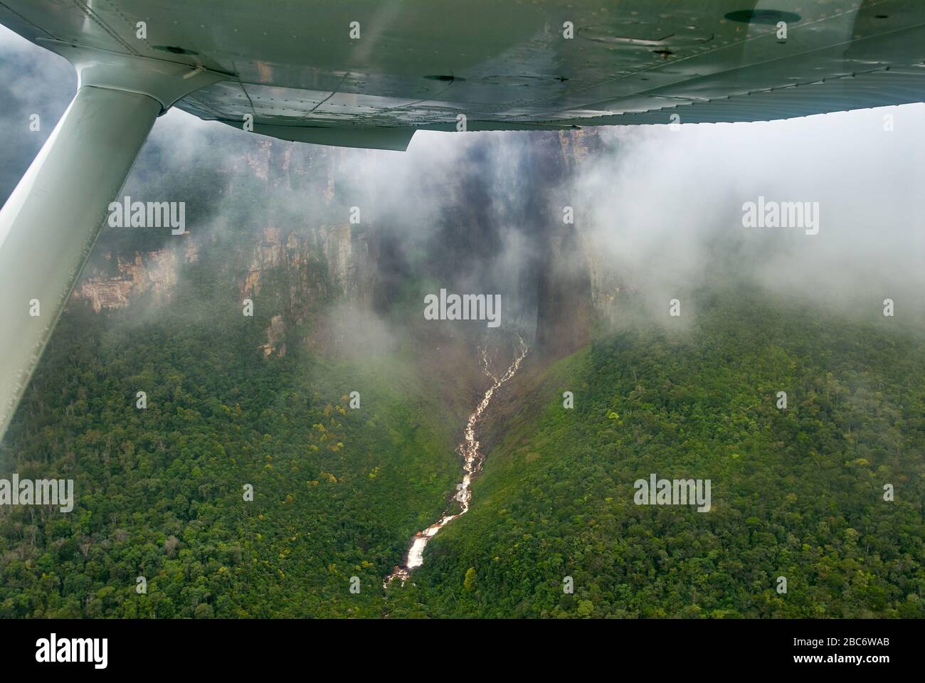 TEPUY in fog,  Canaima NATIONAL PARK, Venezuela, South America, America Stock Photo
