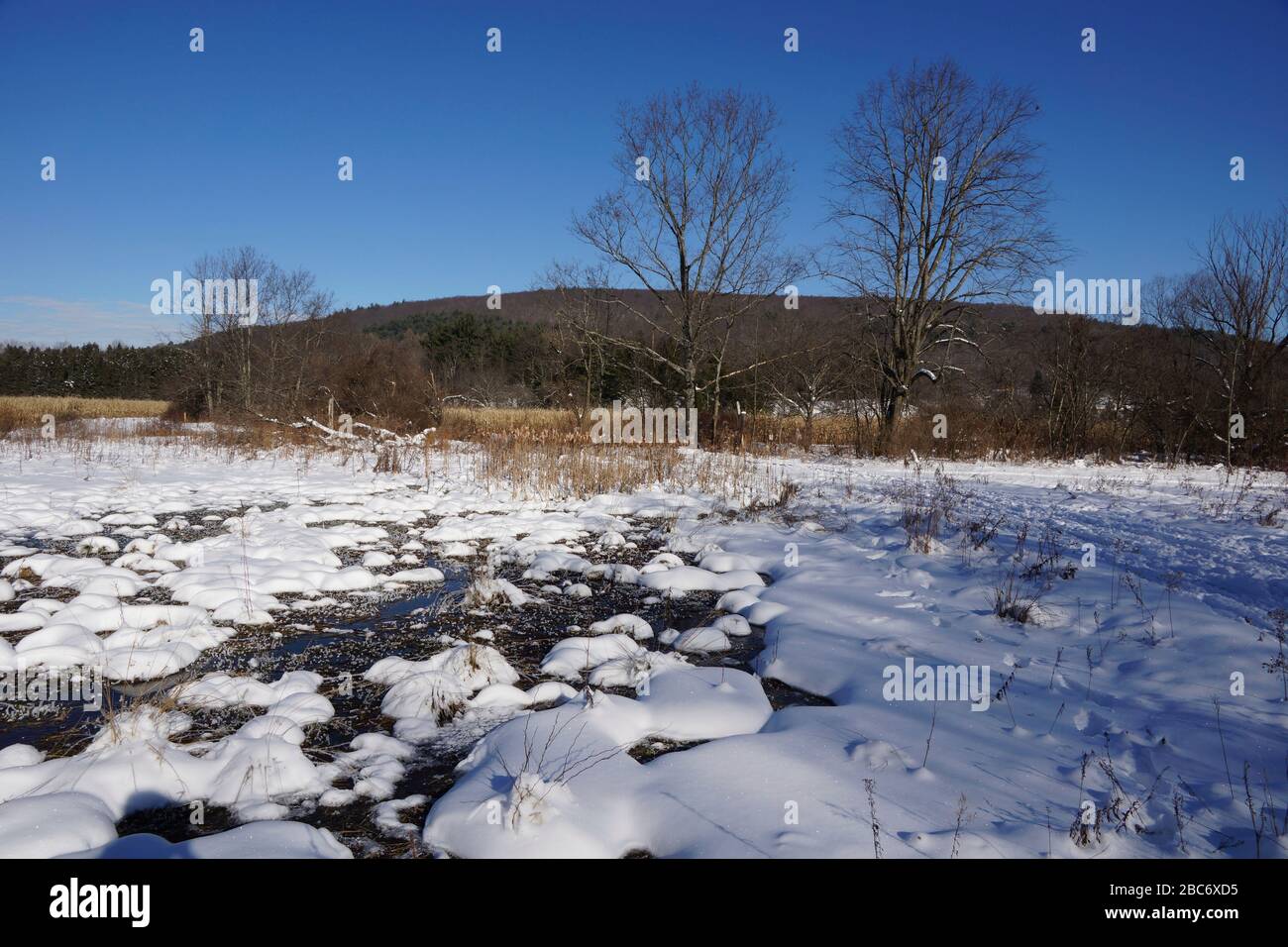 Robert V. Riddell State Park in Upstate New York Stock Photo - Alamy