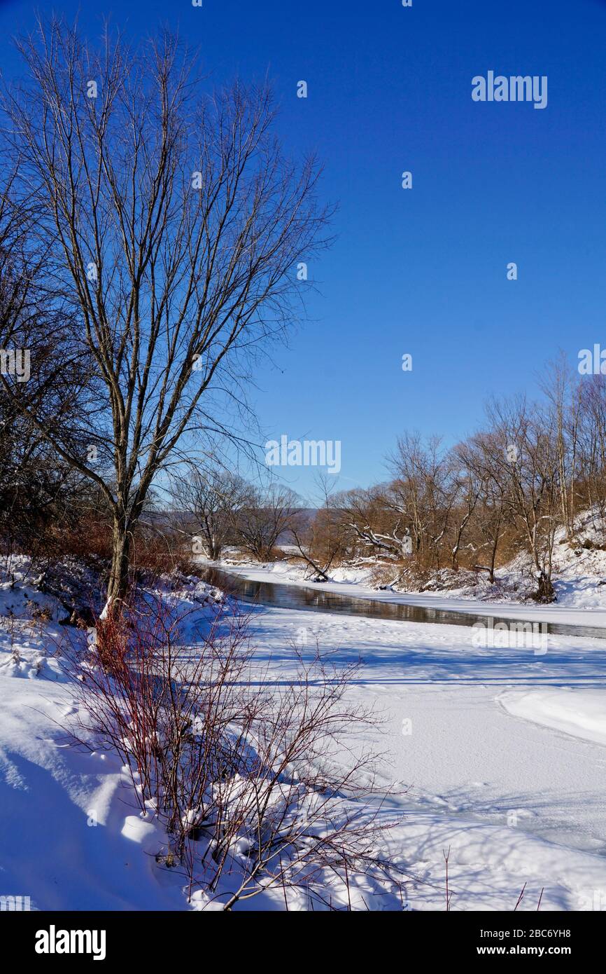 Robert V. Riddell State Park in Upstate New York Stock Photo - Alamy