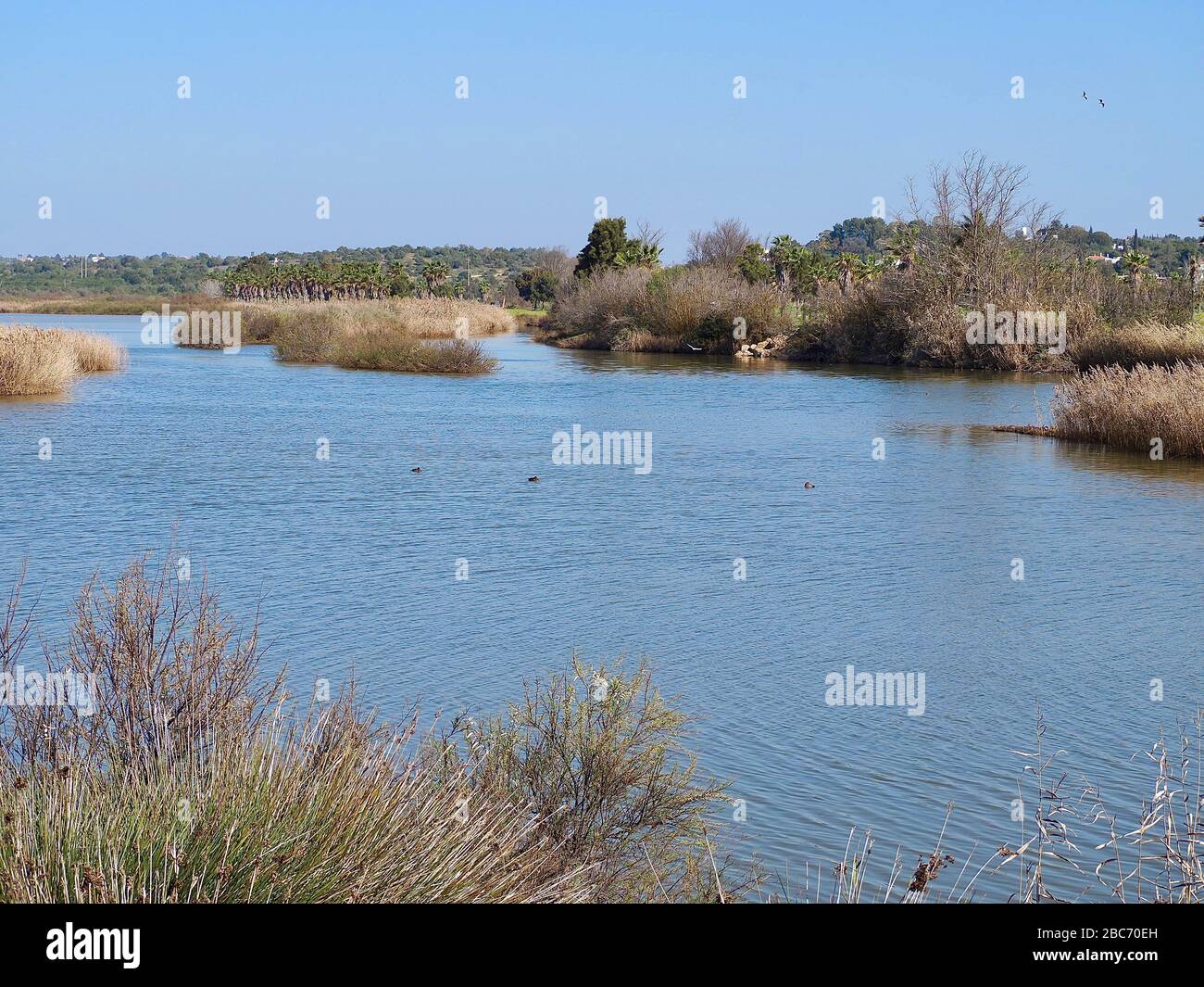 Lagoa dos Salgados, a biotope between Armacaou de Pera and Albufeira at the Algarve coast of Portugal Stock Photo