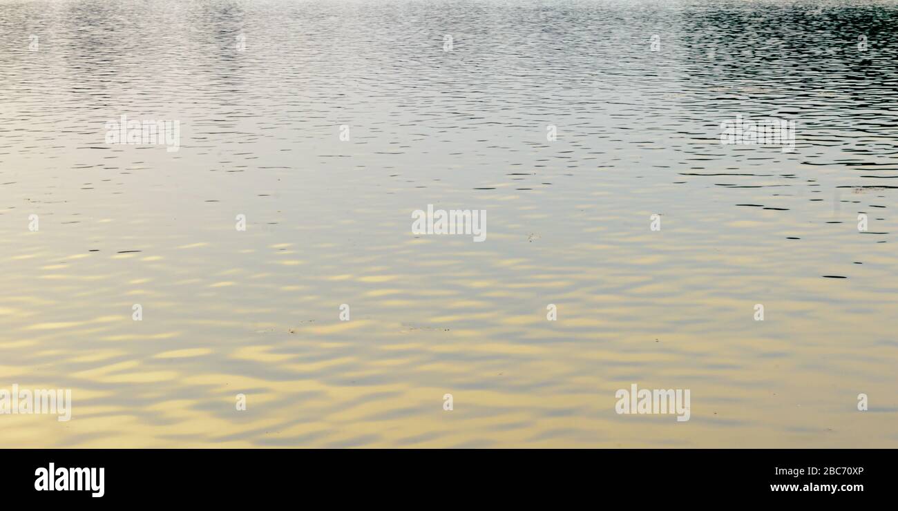 Standing Water Texture Tranquil standing water surface. Natural pattern texture and colour ...
