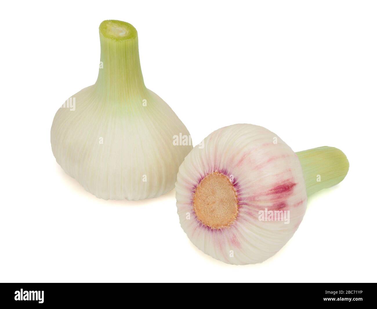 Fresh young garlic isolated on white background Stock Photo