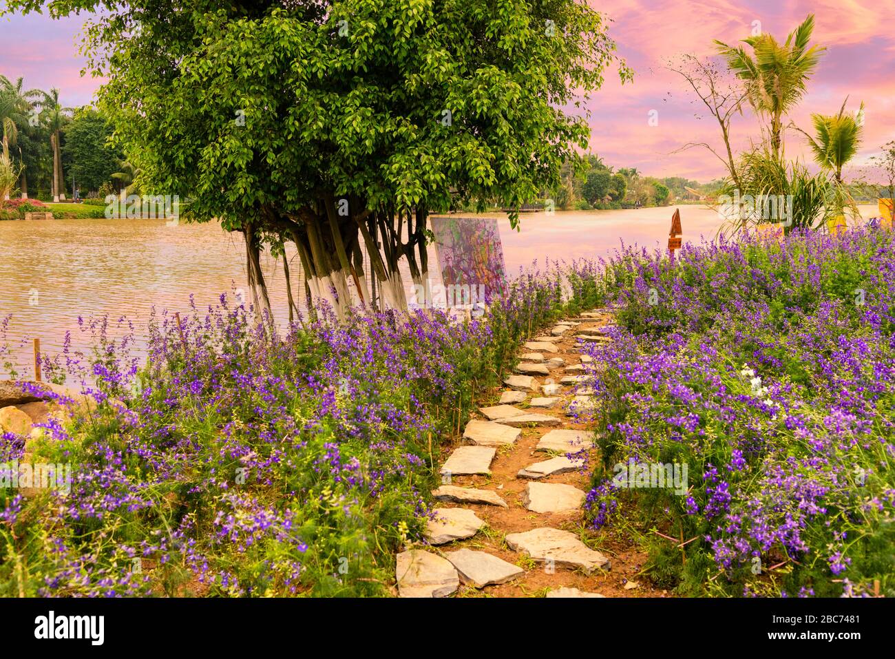 Lavender Rd Lavender road hi-res stock photography and images - Alamy