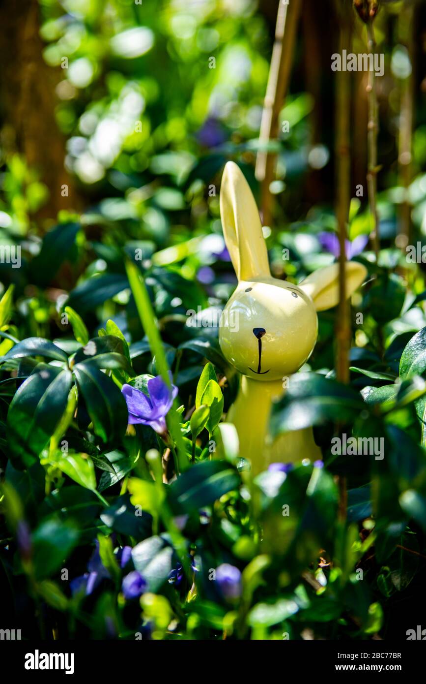 Gelber hase hires stock photography and images Alamy