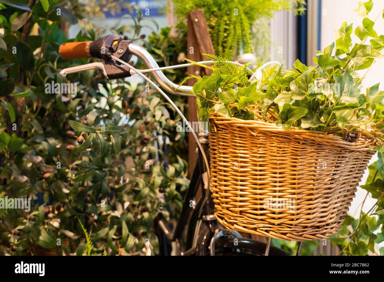 Bicycle rattan basket filled with fake plants. Stock Photo