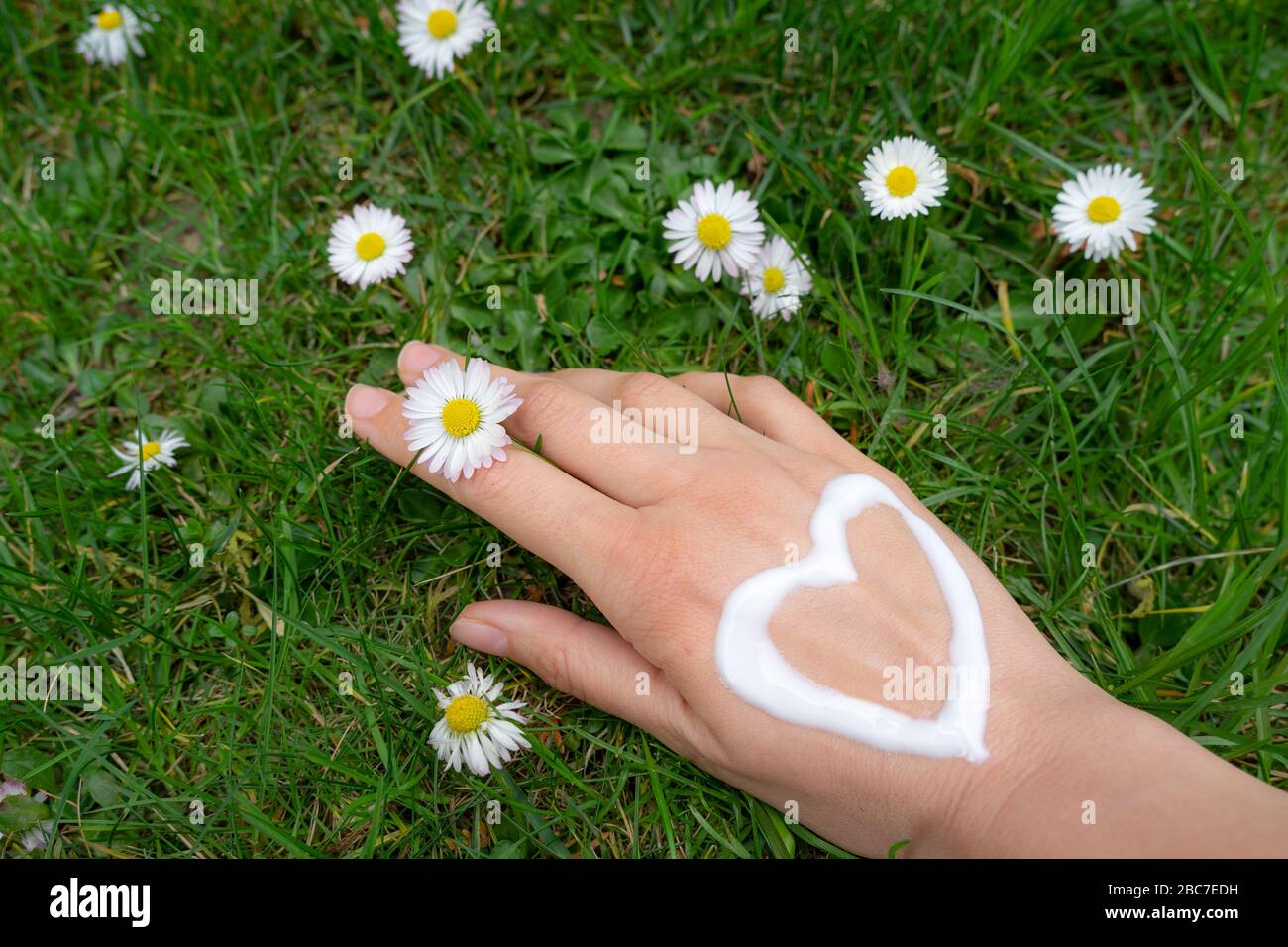 nursing dry hand skin with lotion cream after washing hands so often Stock Photo