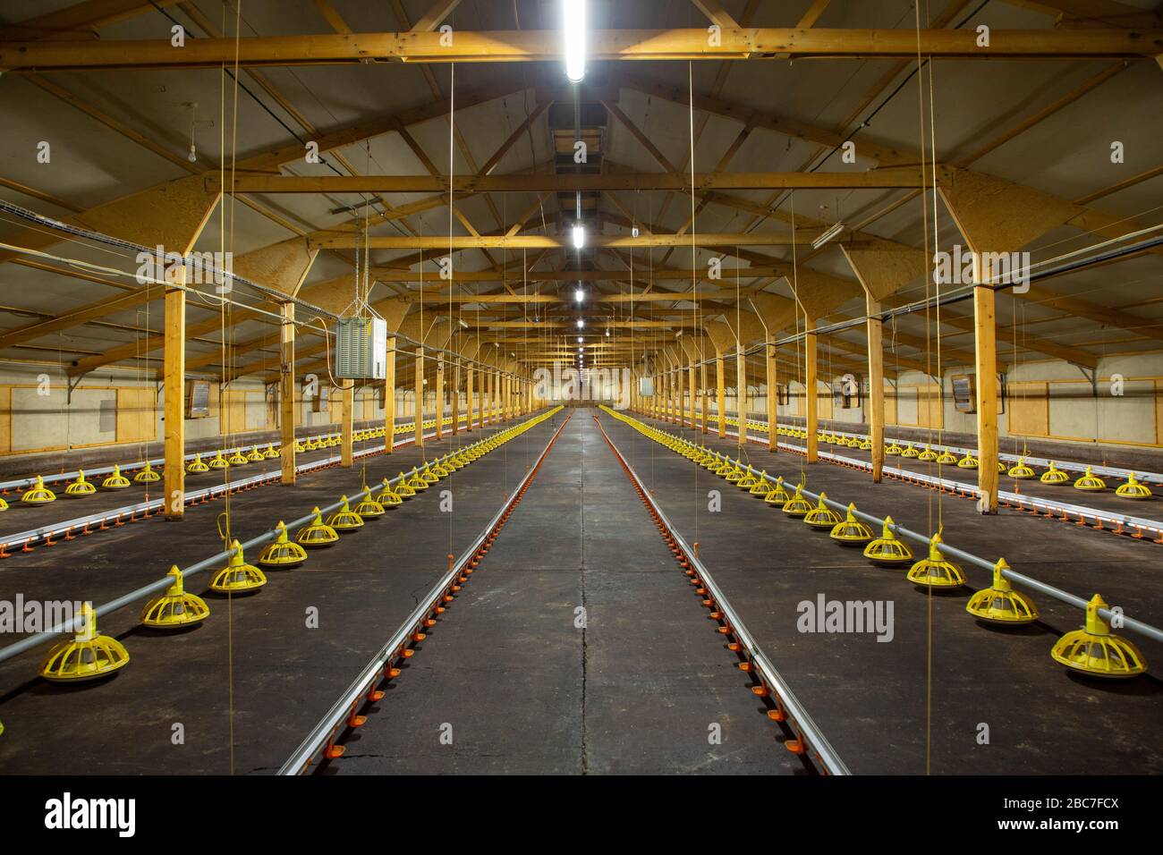 Interior view of an empty Industrial Chicken Shed Stock Photo