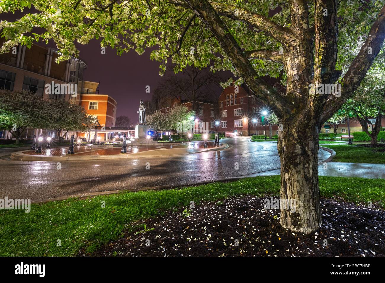 The statue of John Marshall is framed by a pear tree in bloom at night