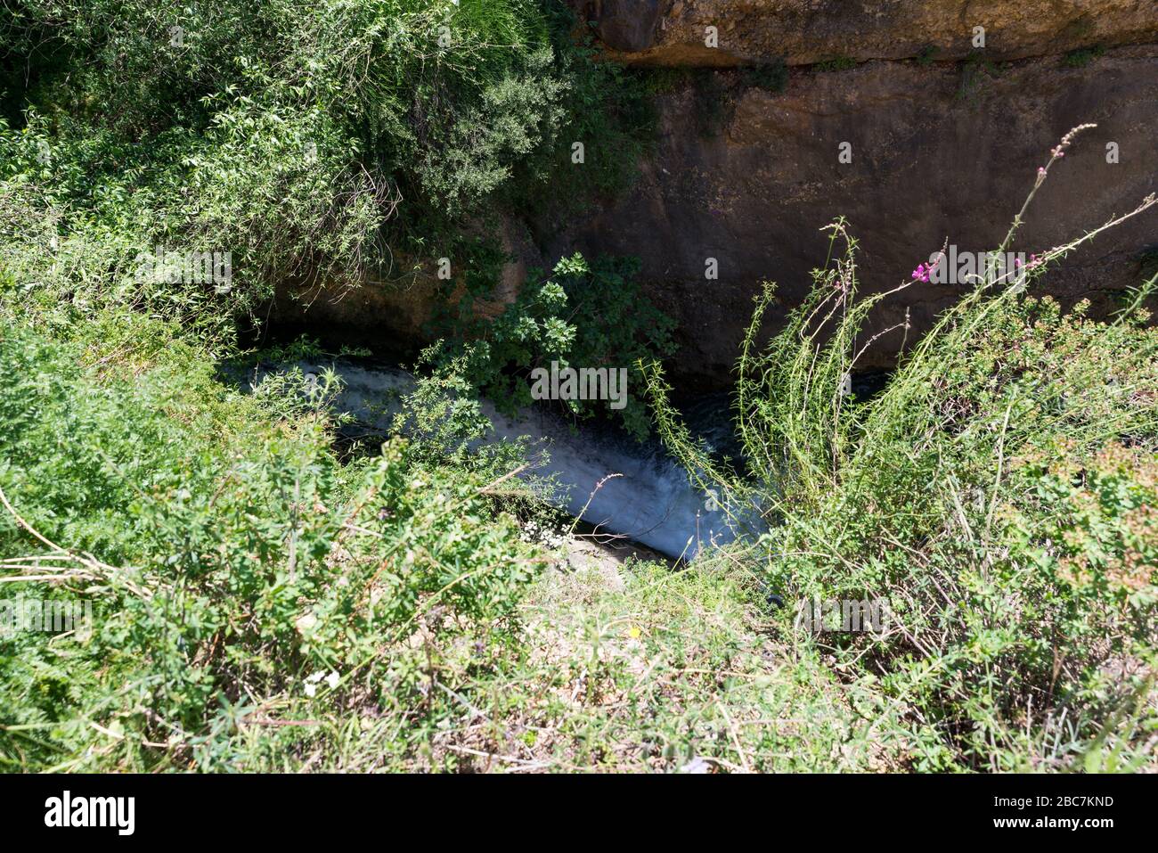 Ayun River Nature Reserve in northern Israel Stock Photo