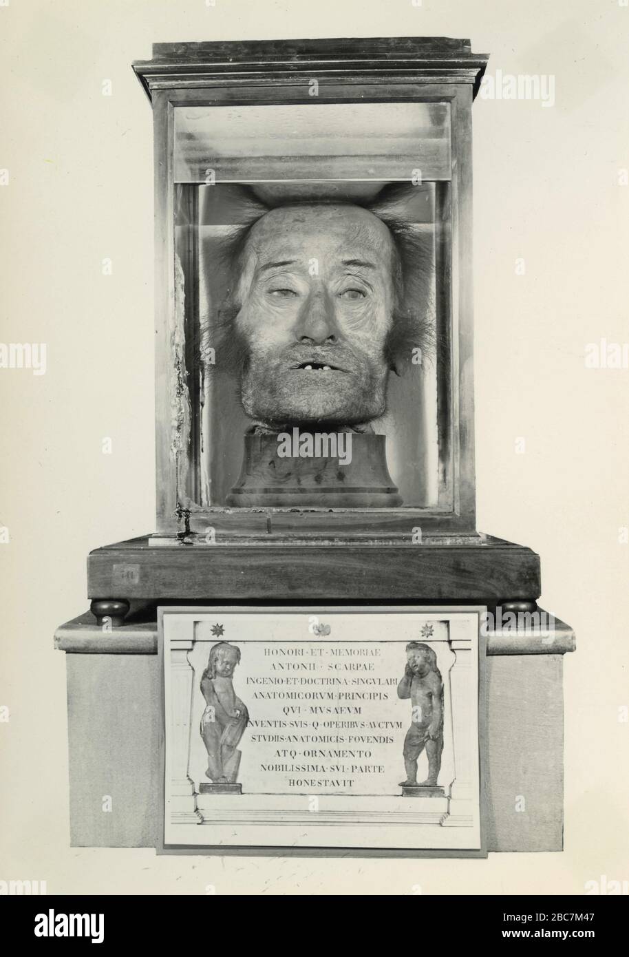 Head of Italian Physician Antonio Scarpa preserved in formalin, University  of Pavia, Italy 1962 Stock Photo - Alamy