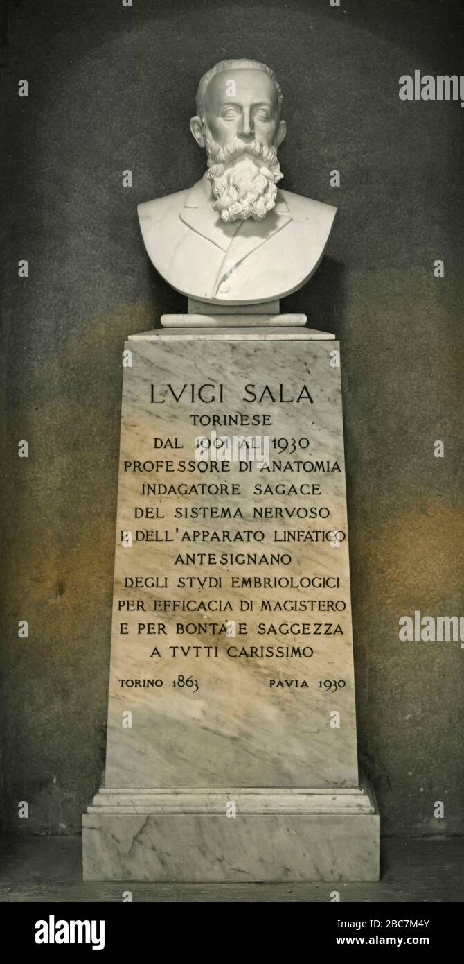 Marble Bust of Italian Physician Luigi Sala, University of Pavia, Italy 1962 Stock Photo